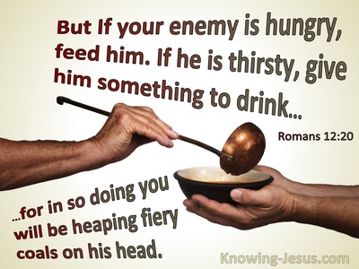 Romans 12:20 If Your Enemy Is Hungry, Feed Him (brown)
